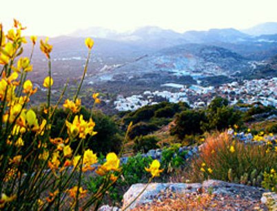 mountain naxos.jpg