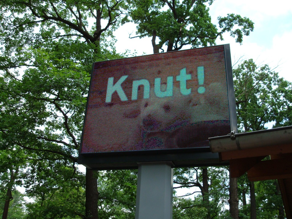 Knut 관람 대기 장소